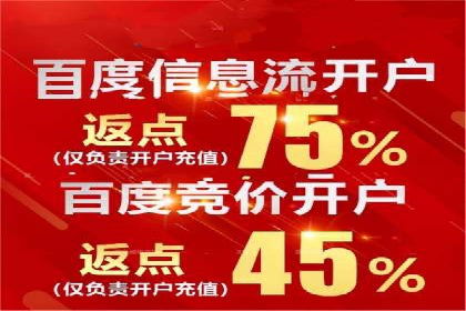 某某sem代运营公司：精准投放的背后策略